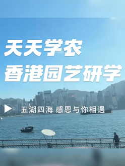 与香港园艺学会联合举办香港园艺研学，专业园境师带队讲解。