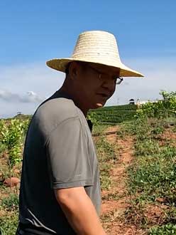 农业人叶涛，50多岁通讯人跨界搞农业，他要用1000万打造一个梦。